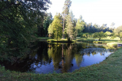 09